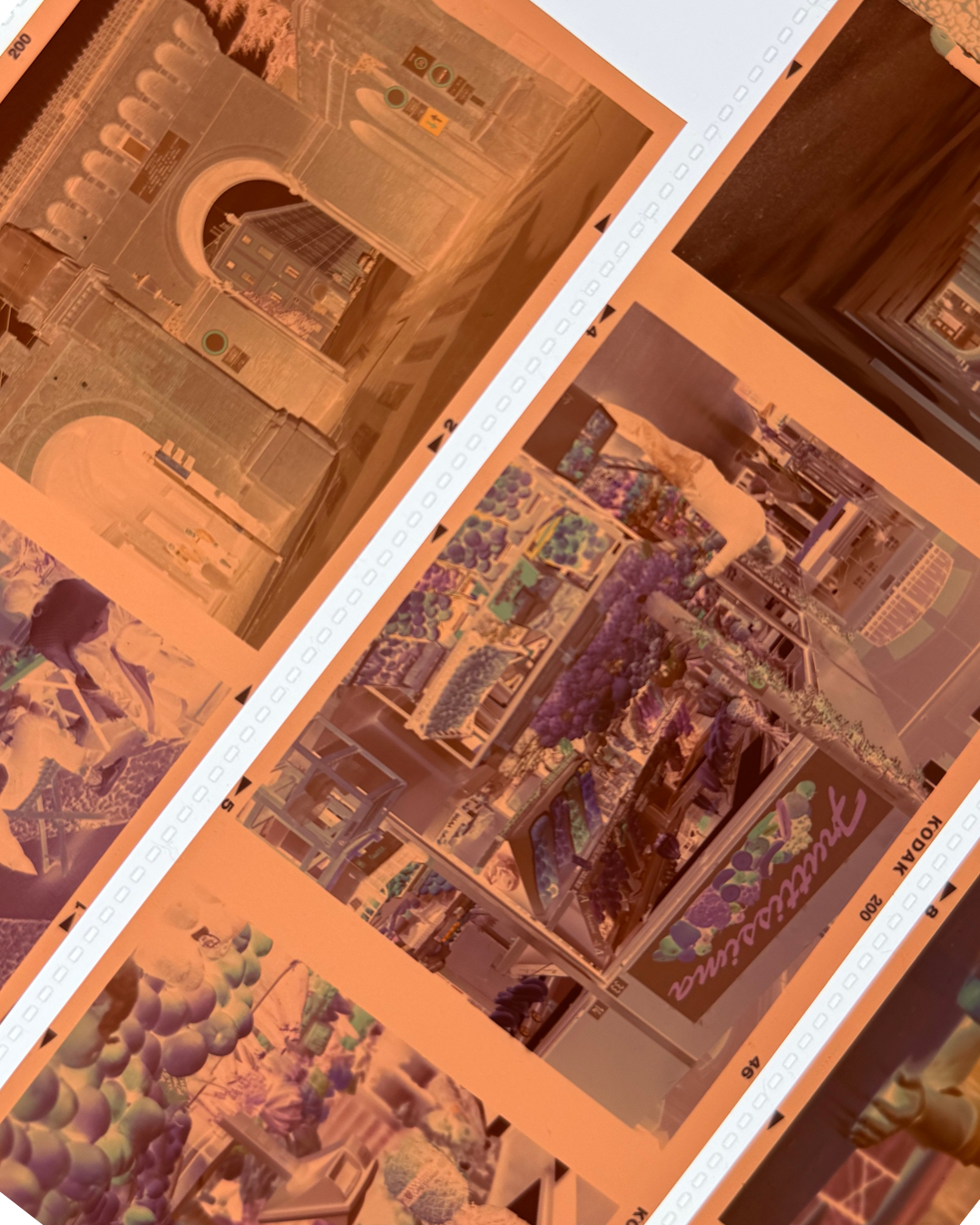 120 Medium Format Colour Film Process and Scan - C41